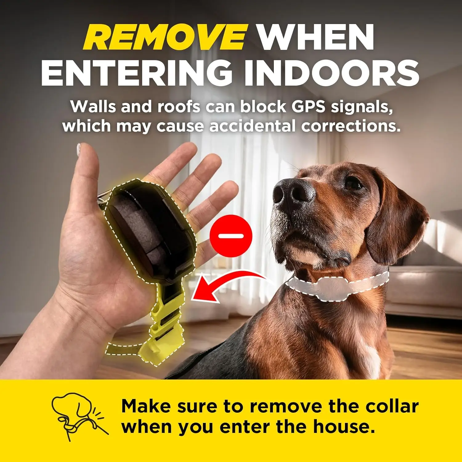 Pas d'abonnement, clôture pour chien sans fil personnalisée avec application, guide intelligent et rappel de retour, tonalité/vibration/correction, nouvelle popularité