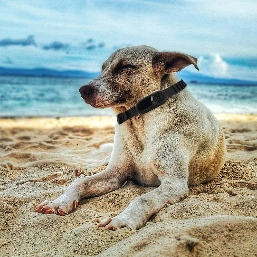 Obroża lokalizacyjna dla psa HD 1080P Bezprzewodowa kamera na obroży z nagrywaniem wideo akcji Anti-lost Niezbędna obroża dla psa i kota Kamera Bez WiFi
