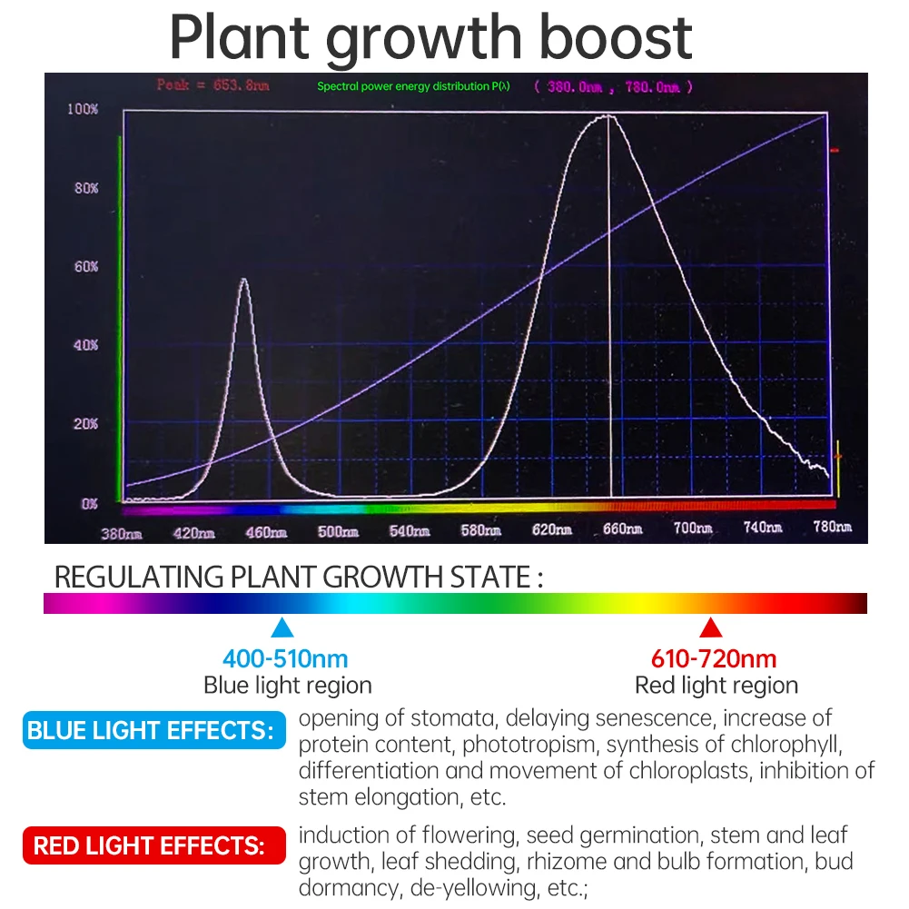 Full Spectrum LED Grow Light Phyto Lamp AC 220V 50W 100W 200W 300W With EU Plug For Greenhouse Hydroponic Plant Growth Lighting