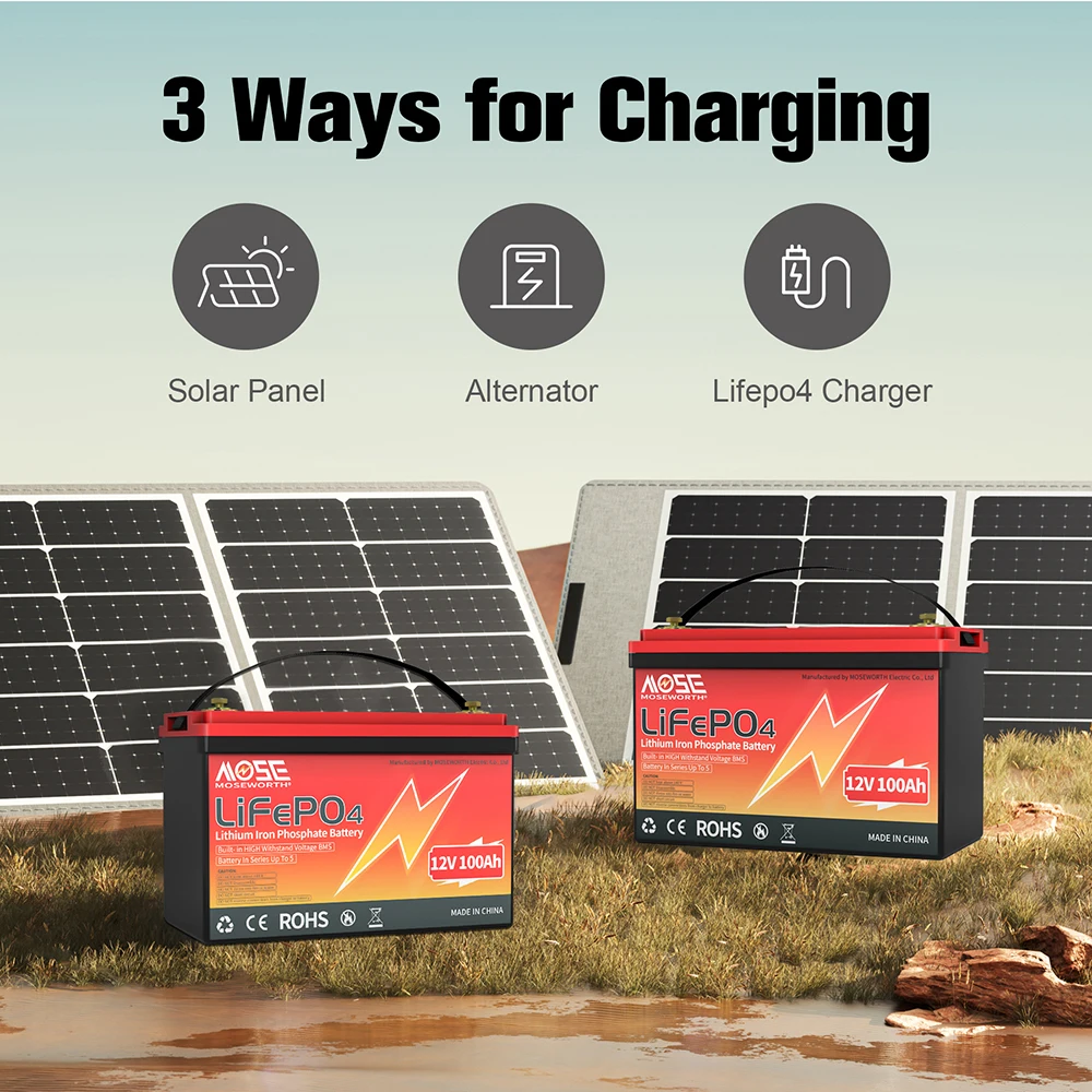 LiFePO4 Battery 12V 100Ah 1280Wh 8000 Cycle 4S BMS Grade A 100Ah 200Ah 24V lithium Pack For RV Boat Solar Home Energy EU NO TAX