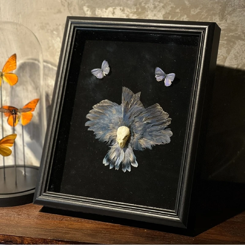 2169 Original Butterfly Bird Feather Handmade Article Room Desktop Decoration Specimen Birthday Gift Gothic Dark Style Artwork