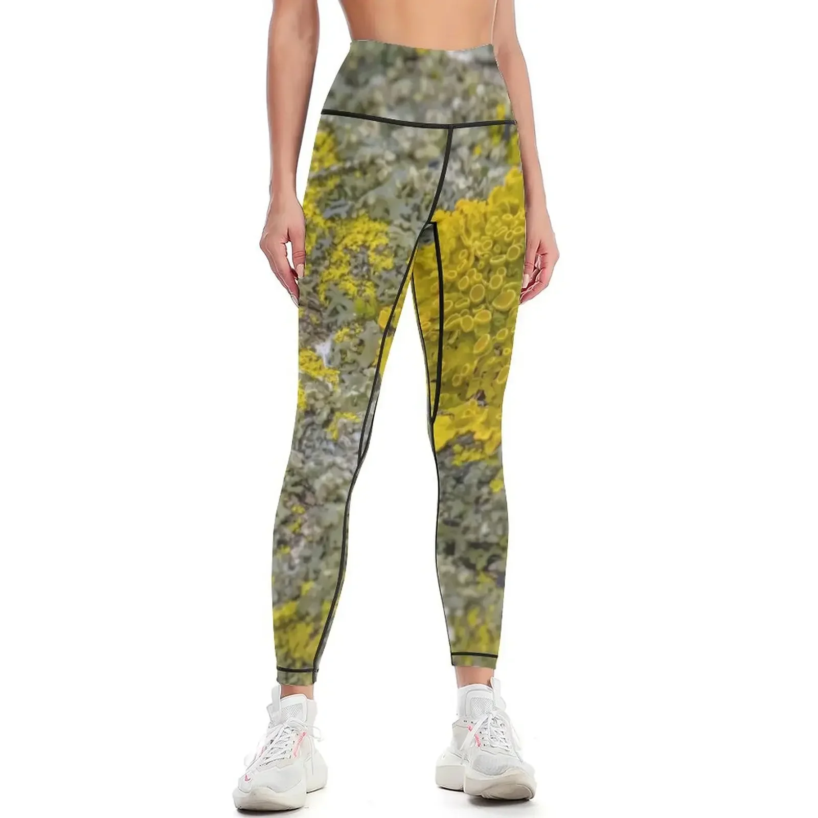 

Be Unique Like Lichens Leggings Women's fitness jogging pants Jogger pants Leginsy push up Womens Leggings