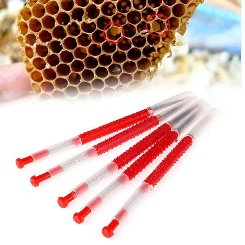 

10 Pcs Beekeeping Grafting Tool Bee Queen Larva Apiculture Retractable Grafting Equipment Tools Move Worms Needles