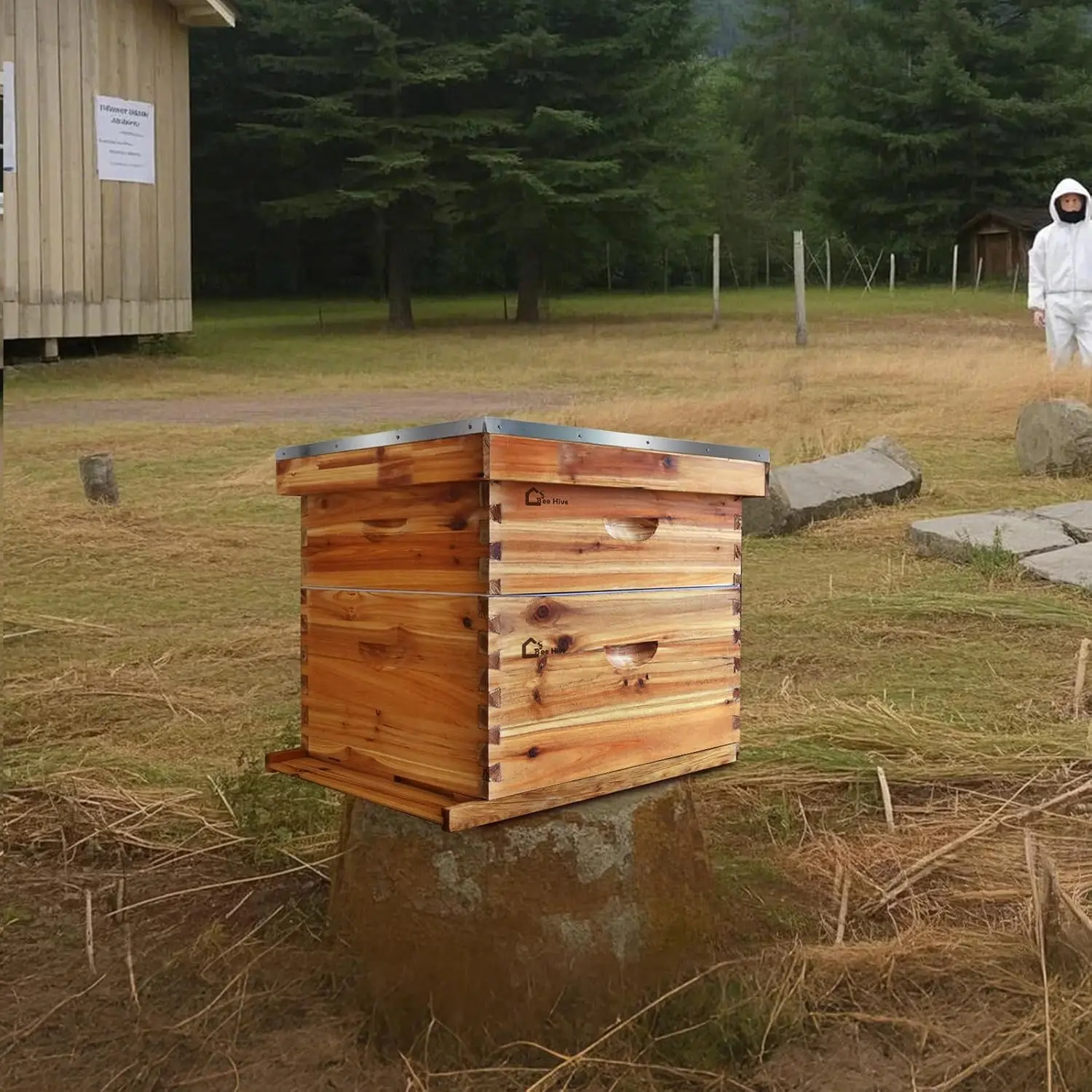 10-Frame Complete Beehive Kit, Wax Coated Bee Hives for Beginner, Includes 1 Deep Box and 1 Medium Bee Box with Beehives Frames and Wax Foundations for Beekeeping Supplement (Unassembled)