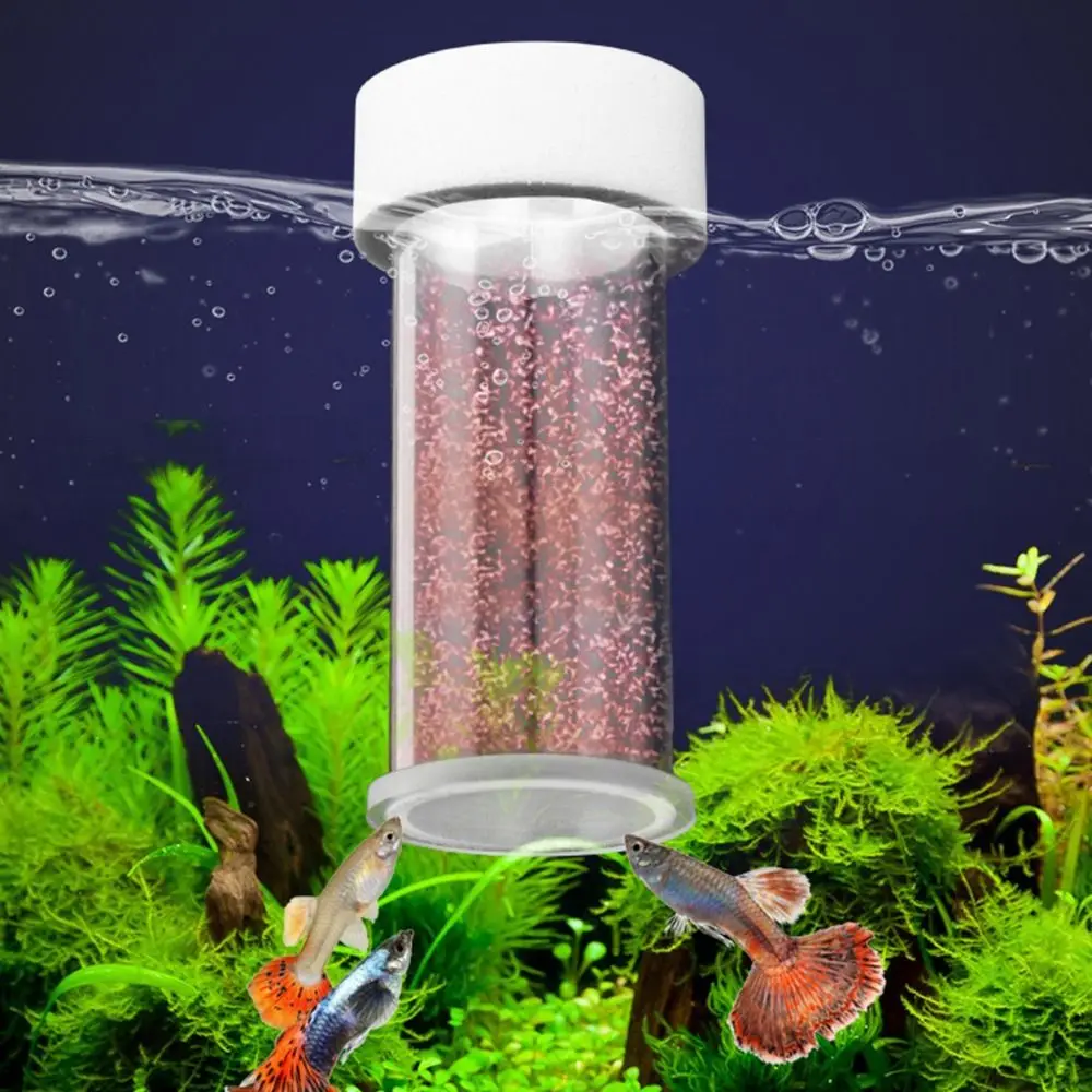Acrylic Brine Shrimp Feeder with Suction Cup Transparent Fish Feeder Durable Fixed-Point Floating Ring Various Fish Tanks