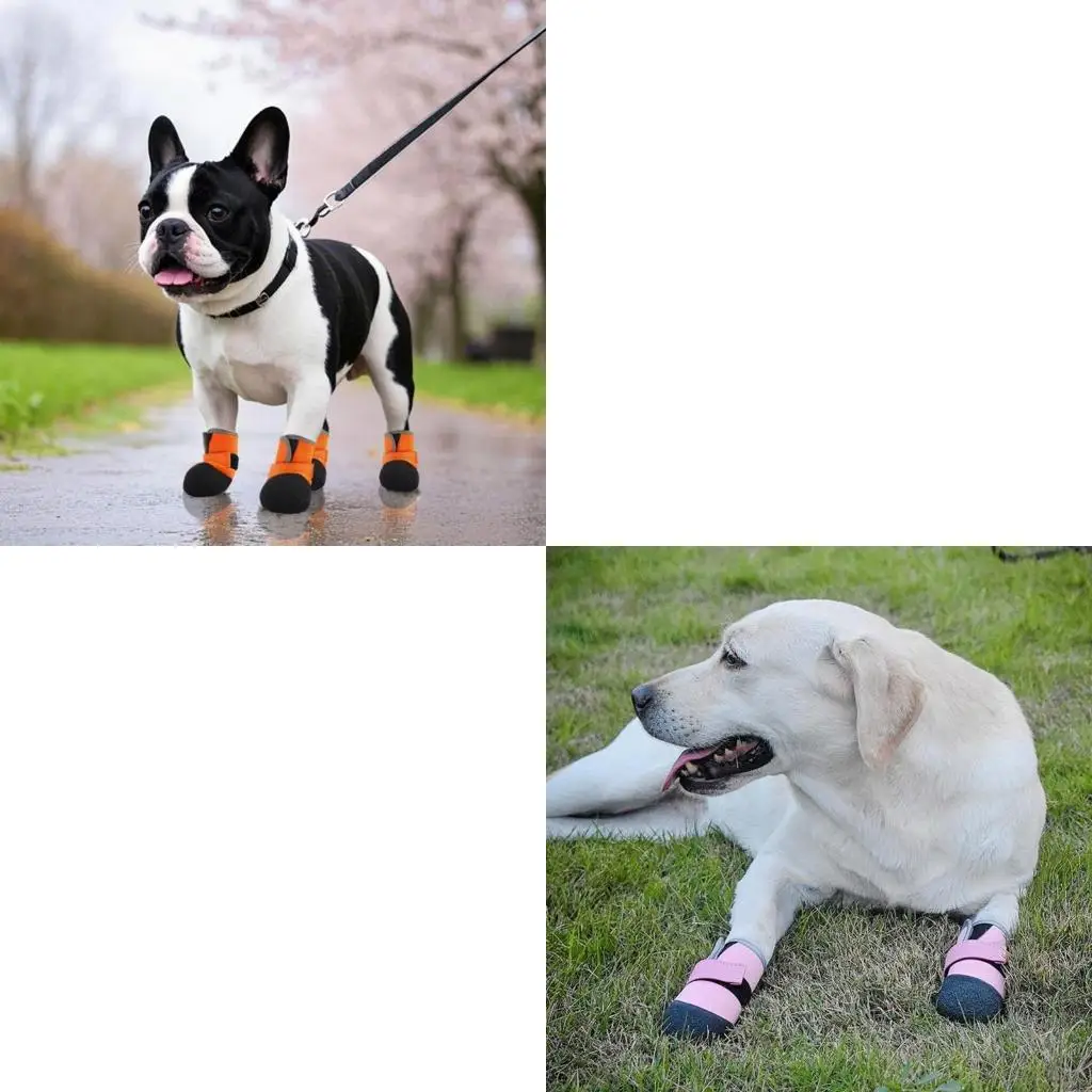 

X4YE 4pack Fashion Dog Shoes Light Leisures Dogs Boot Soft Soles Pet Shoes Suitable for Everyday Use