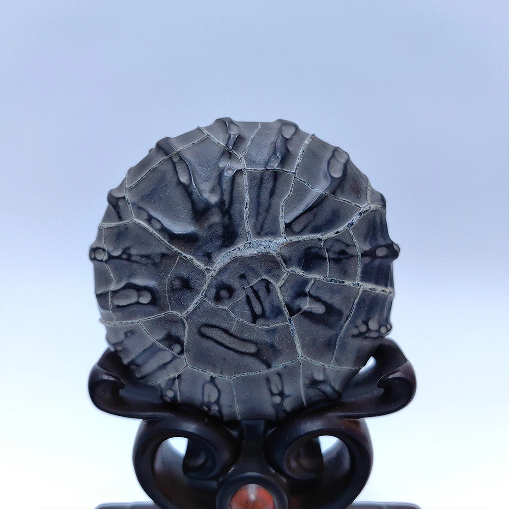 

HzzzR Sculpture Stone Men Gift Moire Stone Natural Stone Piedras Decorativas Asian Natural Stone Office Decoration Crystal Stone