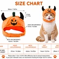 PET320-hat