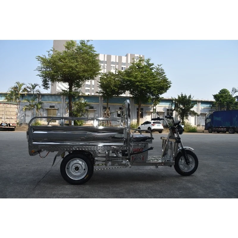 1.5m Electric Tricycle 60V Battery Minitype Stainless Steel Adult Electric Tricycle Tricycles 1000W  Factory Direct