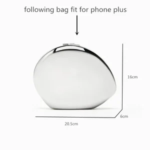 Silber- und Goldmetall -Tasche für Frauen, kleine Taschen, Nachtkupplung, Griff, Hochzeitsfeier, Markentaschen, süß 8 Main Salve Silver Sales für die Ehe - №5