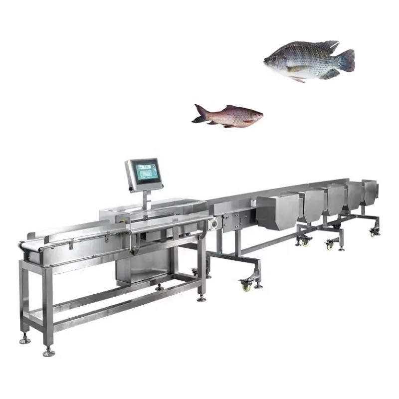 Customized Commercial Fish Sorting Machine Multi Grade Size Classification Tool Food Grade Material for Fish Farm Seafood Market