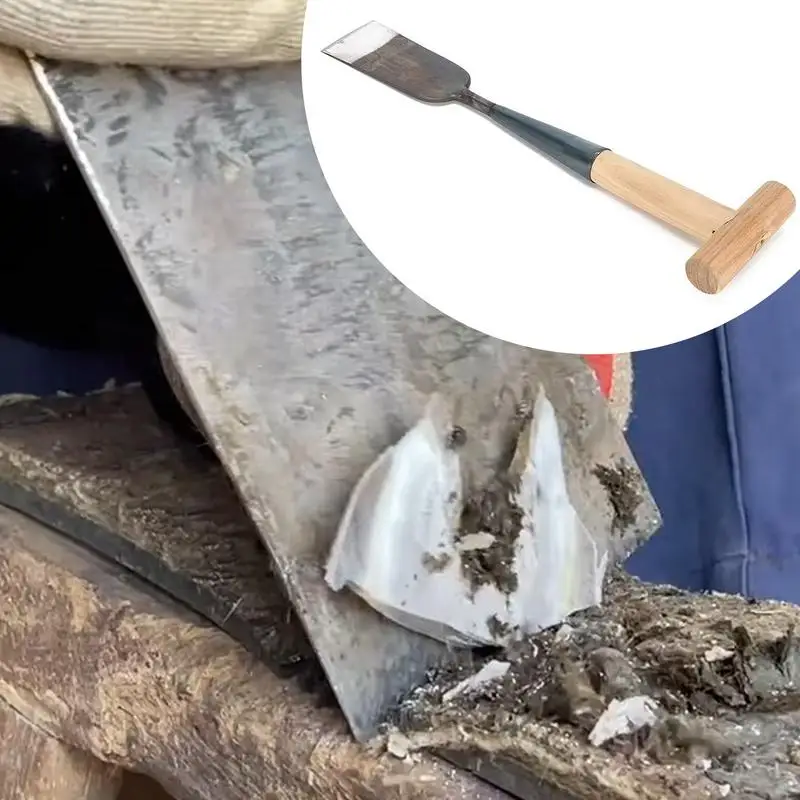 Paardenhoef Trimmen Gereedschap Ezel Hoef Trimmer Veelzijdige Hoef Trimmen Gereedschap Ezel Hoef Trimmer Met Ergonomisch Handvat