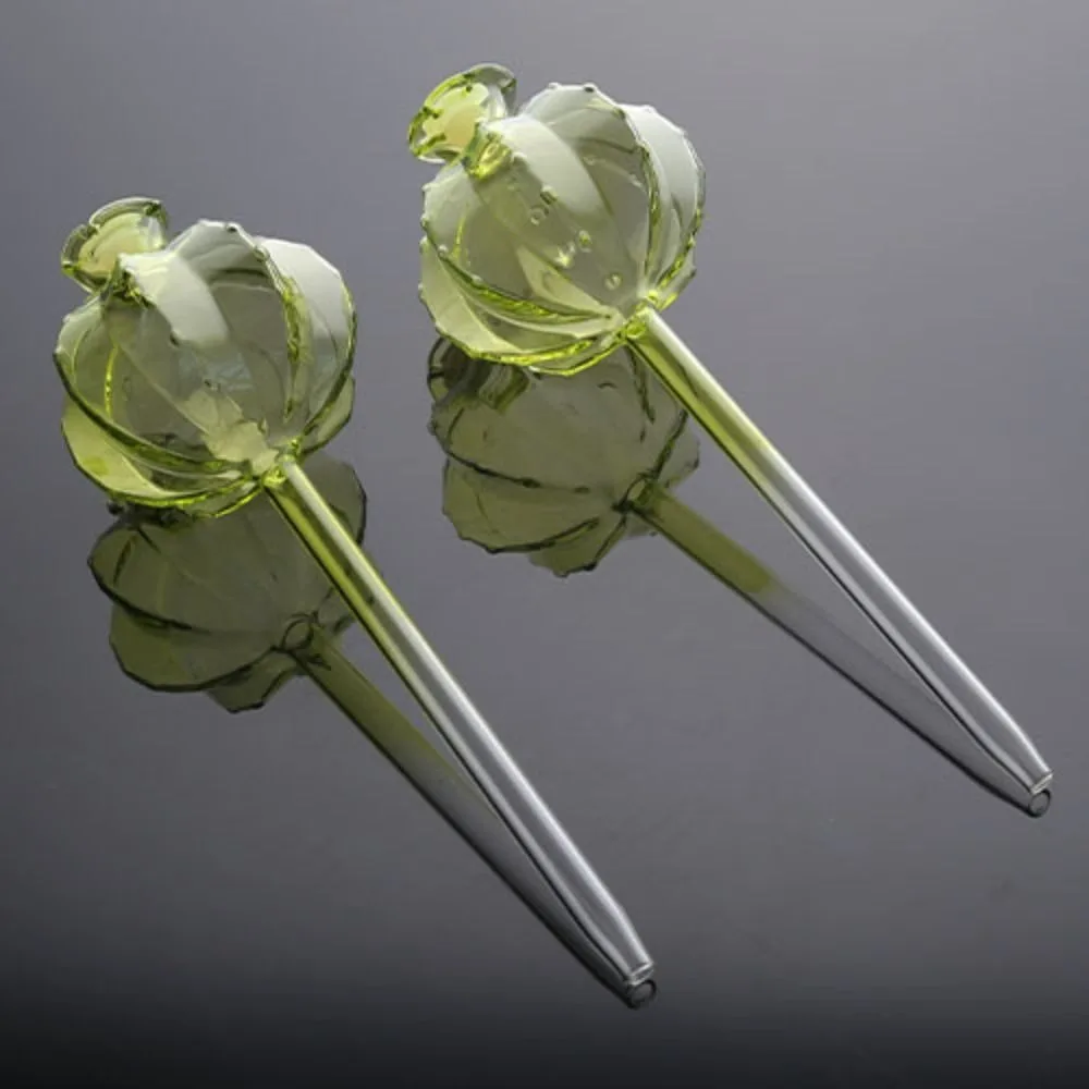 

Cactus Cactus Self Watering Planter Glass Automatic Automatic Plant Watering Bulbs Cute Plant Water Feeder Glass Bulbs Indoor