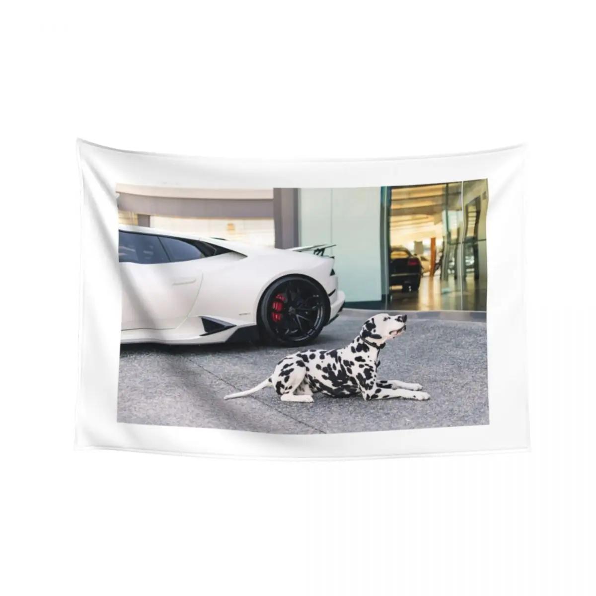 

Woofer Tapestry Carpet On The Wall Decoration Room Wallpaper Luxury Living Room Decoration Tapestry