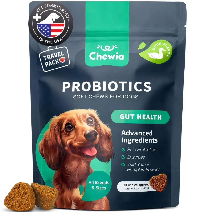 

Probiotics for Dogs Support Gut Health Immunity Yeast Balance Itchy Skin Allergies Dog Probiotics and Digestive Enzymes Coproph