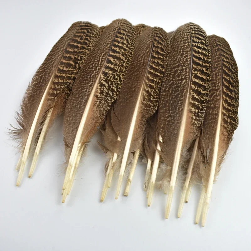 10Pcs Natural Peacock Bird Feathers Decoration Eagle Small Pheasant Feather Crafts Decor Hats Carnival Wedding Jewelry Creation – Detail 6