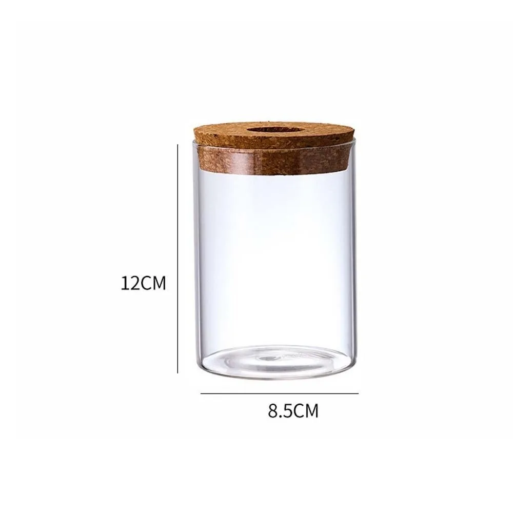

Transparent Hydroponic Plants Flower Pot Thickened Glass Transparent Glass Pots Round Mini Ecological Glass Vase