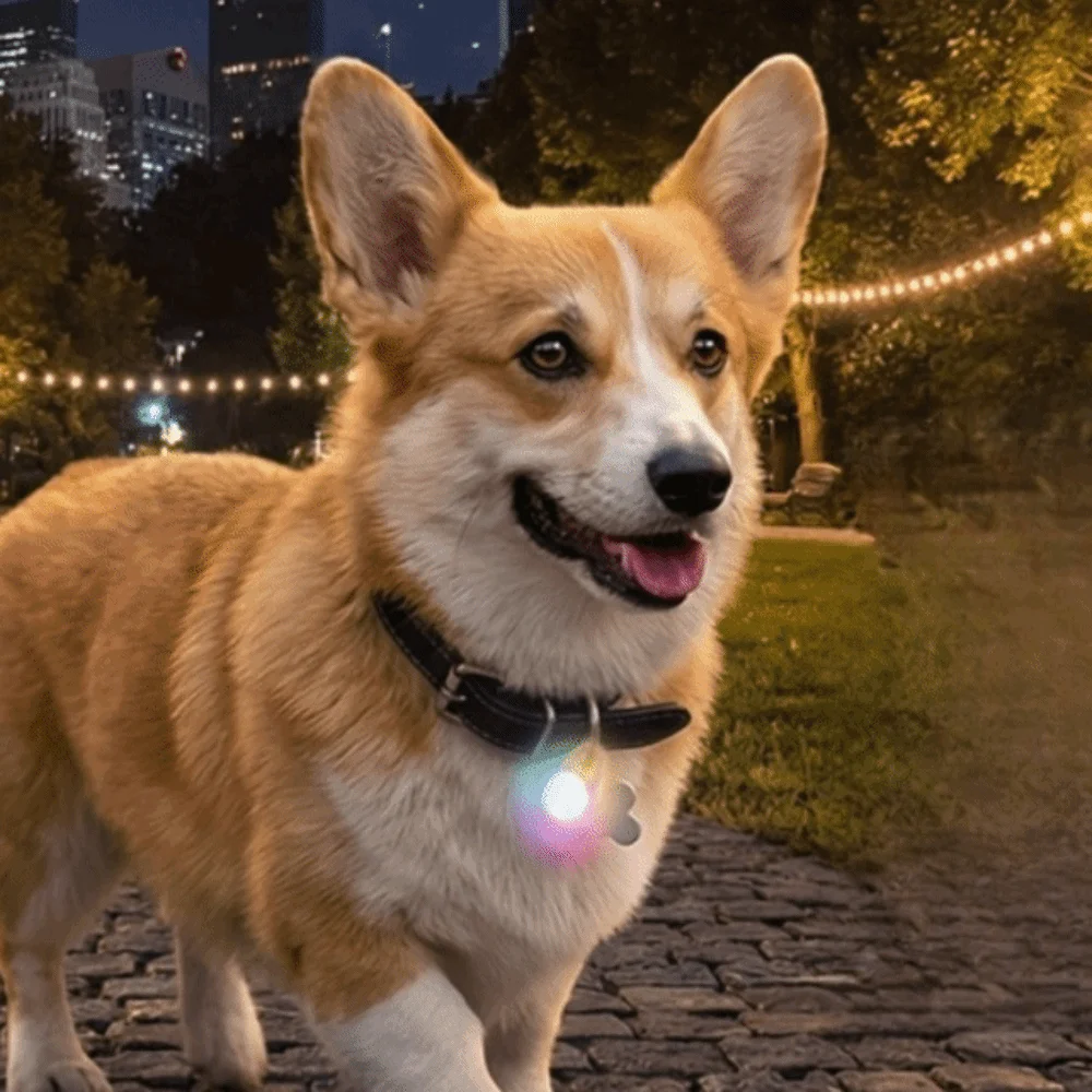pingente-led-usb-recarregavel-para-animais-de-estimacao-com-4-modos-de-luz-luzes-de-seguranca-para-animais-A-prova-d'agua-leve-luz-noturna-para-coleira-de-cachorro