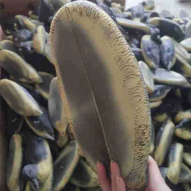 

L55A-4 шт. набор имитации утки для открытого сада, плавающие водяные приманки во дворе, реалистичный внешний вид птицы для охоты