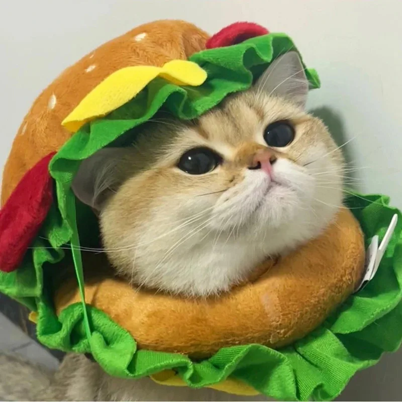 

Pet Dog Burger Hood Collar Cat Hat Cosplay Elisabeth Circle Clothes for Puppies and Kitten Dog Fancy Dress with Weird Costumes