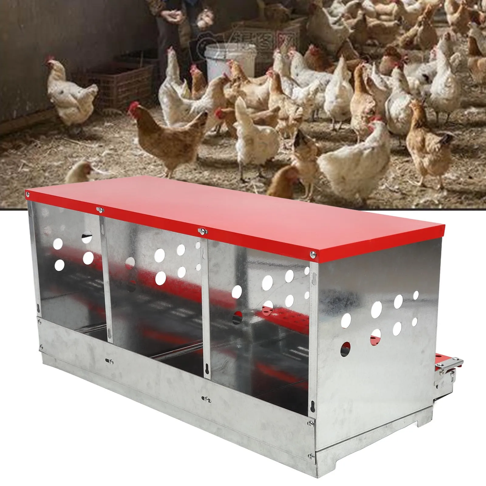 Chicken Nesting Box 3 Compartment Well Ventilated Sturdy Hen Laying Box for Egg Collection Chicken Laying Box 3 Hole Nesting Box