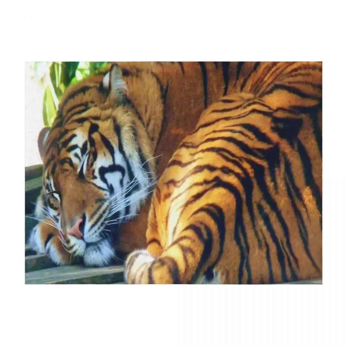 

Sleeping Beauty (white background) Throw Blanket Extra Large Throw warm for winter wednesday Soft Blankets