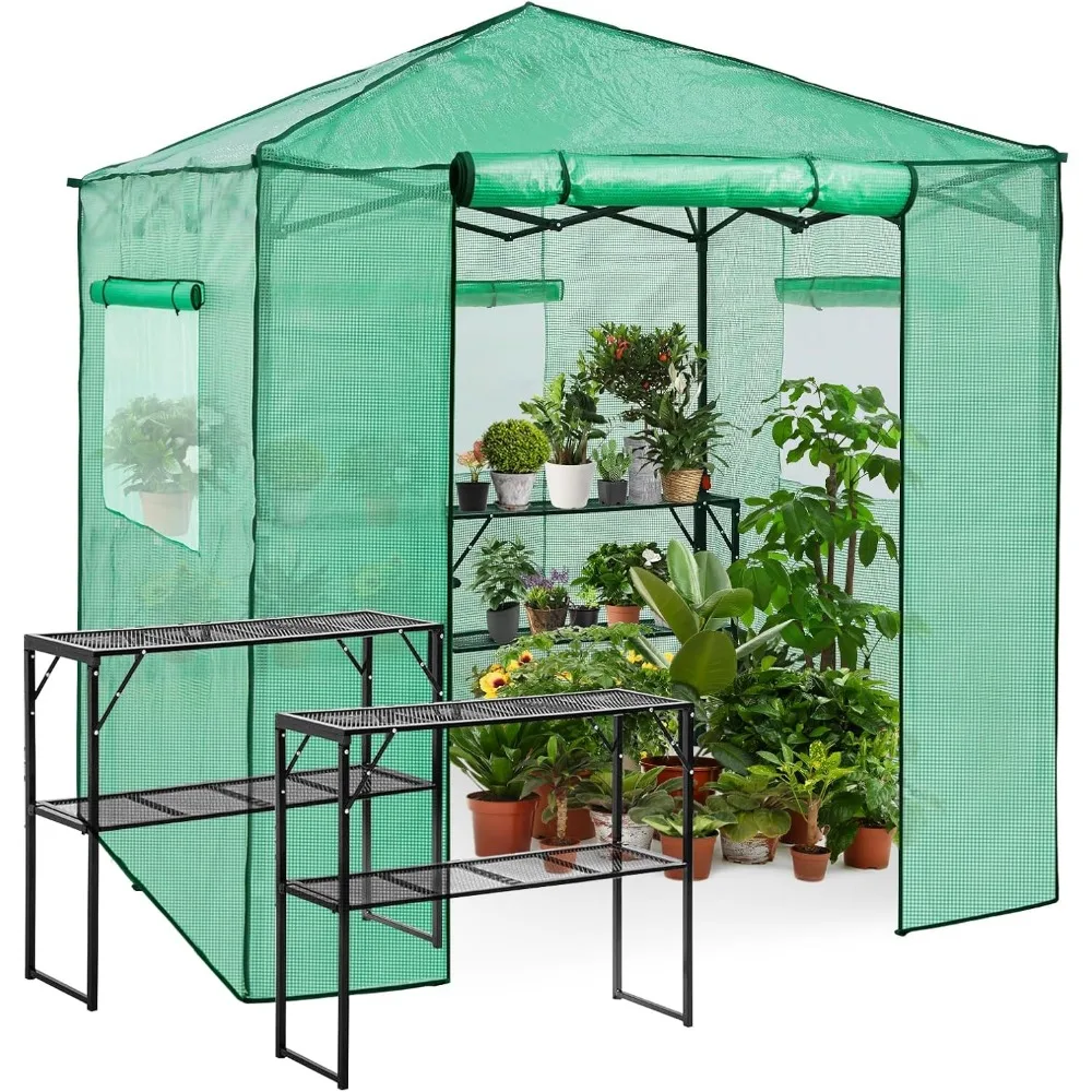 

7x7 Pop up Greenhouse Portable Walk-in Outdoor Gardening Green House with 2 Foldable Shelves, Roll-up Zipper Entry Door and 3 M