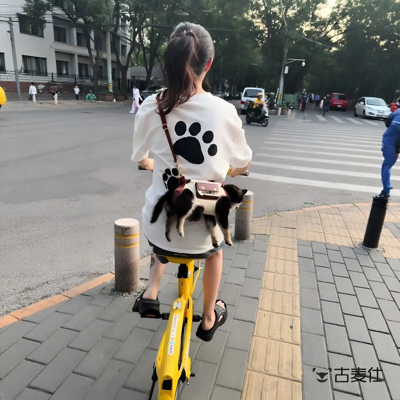 practica-bolsa-diagonal-para-perros-pequenos-para-ciclismo-arnes-para-mascotas-mochila-para-perros-para-viajar-con-tu-mas