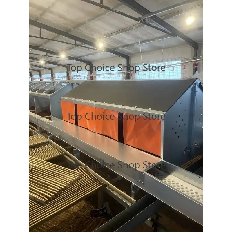 2023 New Arrival Automatic Egg Laying Hen Nest for Farm Poultry Chicken Nest Collection Box for Sale