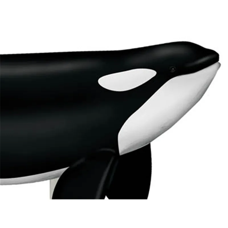 4D رؤية Orca الحوت الهيكل العظمي تشريح نموذج طبي لغز تجميع لعبة التشريحية التدريس المعونة مختبر معدات التعليم #5