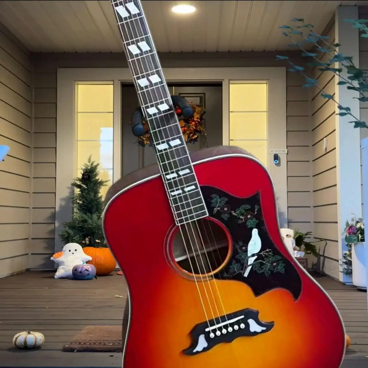 Dove Acoustic Guitar Sunburst Spruce Top Maple Back Sides Fixed Bridge Bright Treble Warm Midrange Tight Bass Stage Recording