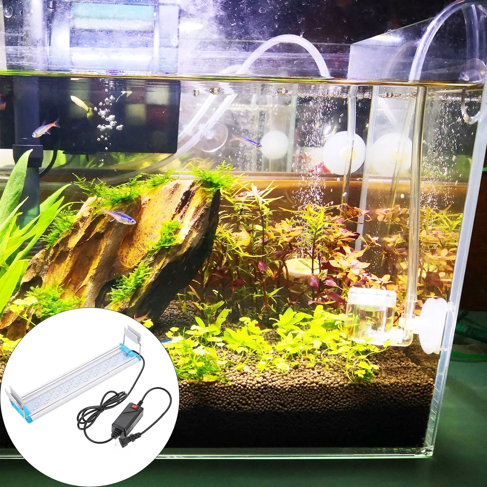 Luce LED Tricolore per Acquari - Aquarium Fish With Long Lifespan recensione e prezzo
