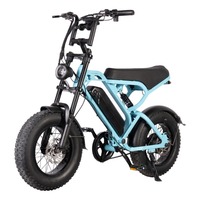 V20 Mini 250W 48V 16-Inch Fat Tire Electric Hybrid Bike OFF-Road Ebike V20  Mini Kid Fatbike EU & US Warehouse