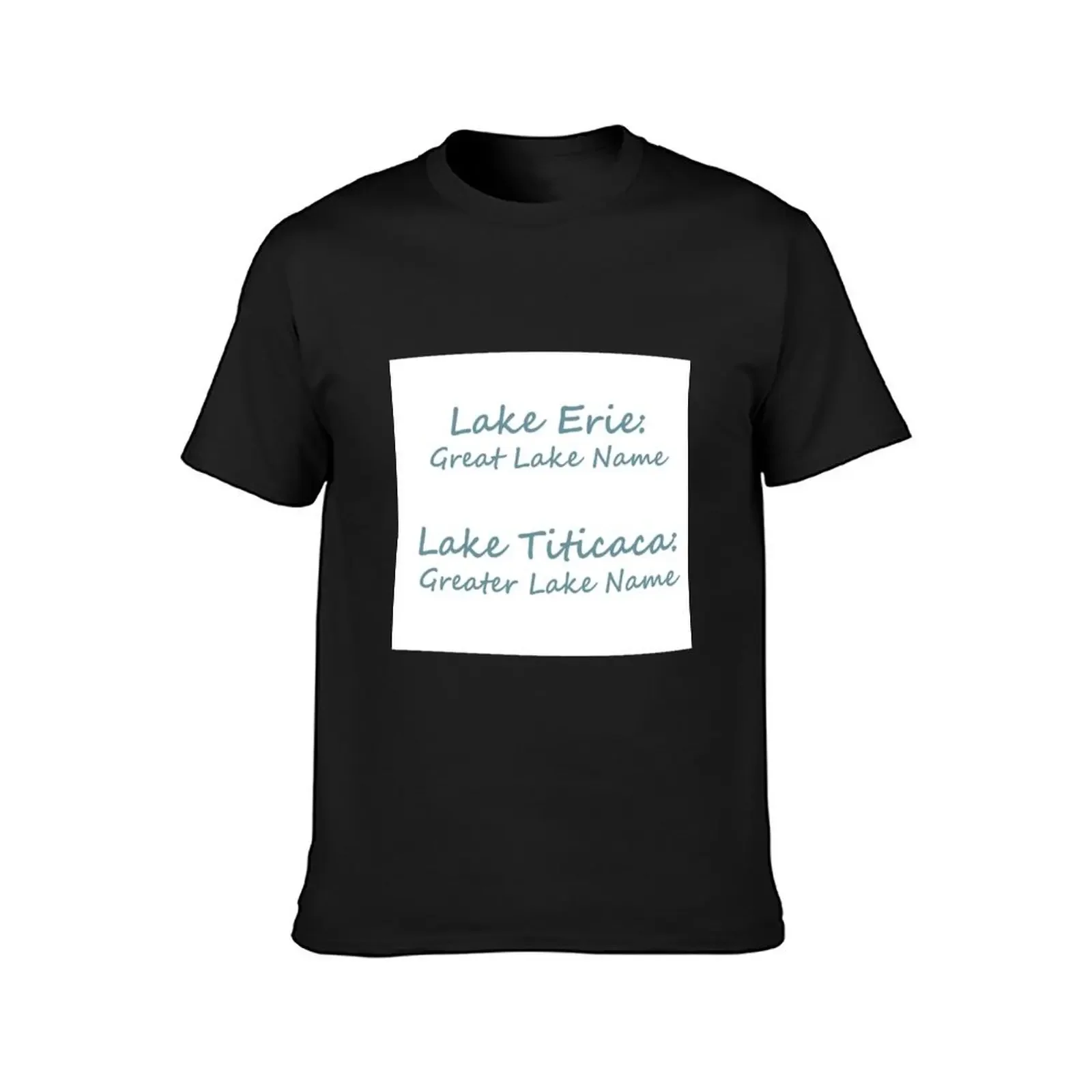 Great Lakes T-Shirt sweat boys whites shirts graphic mens designer clothes