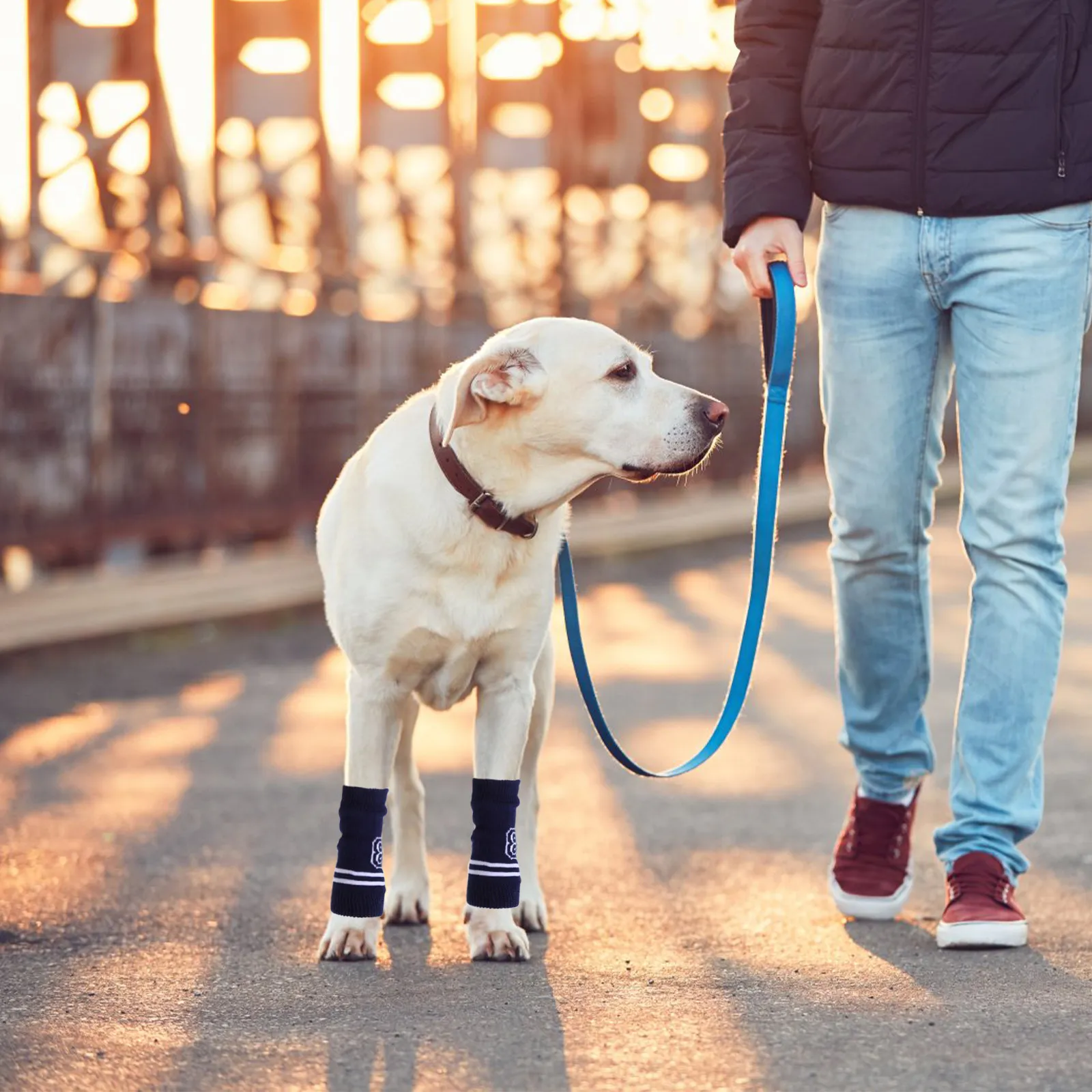 4pcs Knitted Dog Leg Warmers Pet Elbow Protector Soft Comfortable Dog Joint Sleeves Washable Pet Socks For Dogs view 2