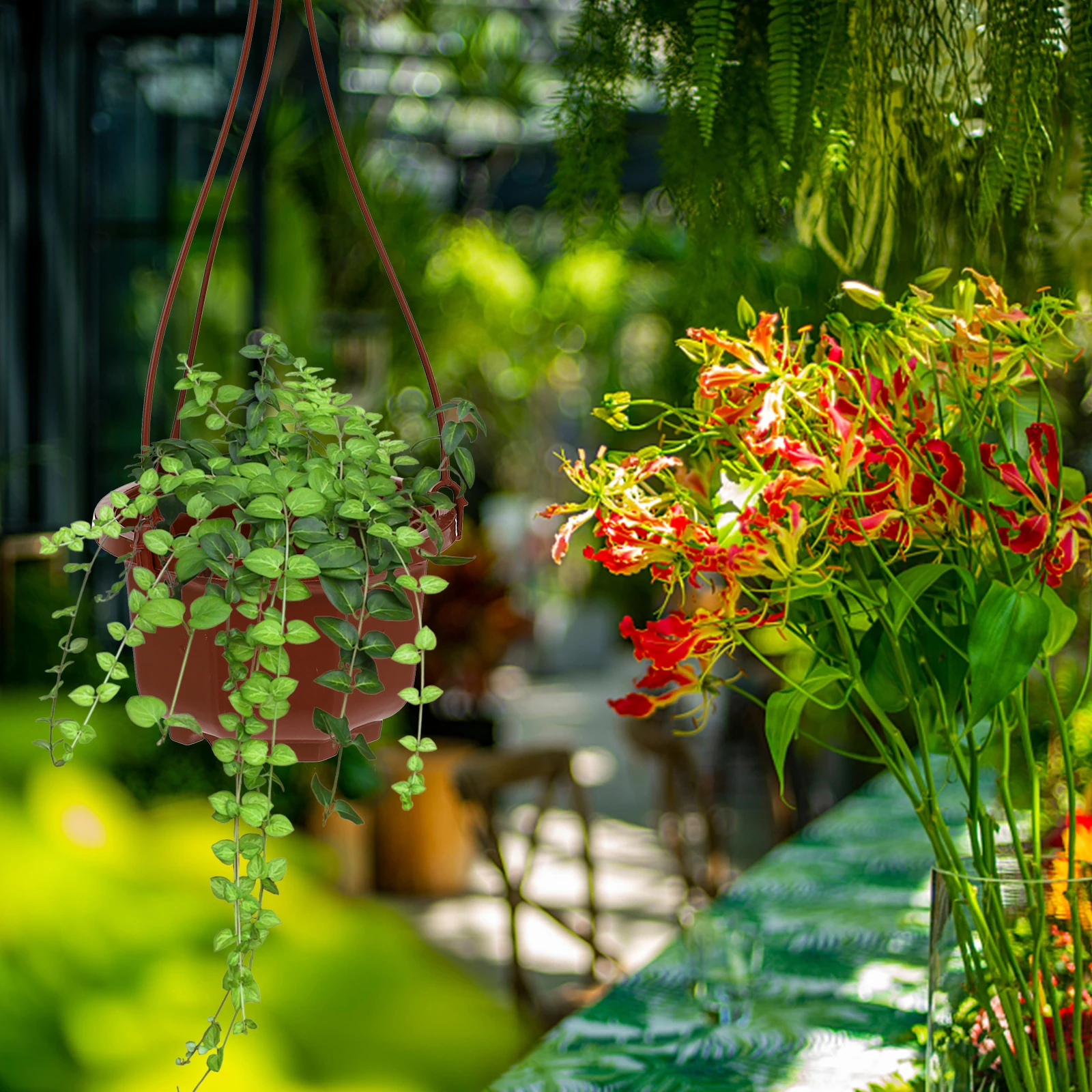 

6 Sets Indoor Plant Chlorophytum Pot Hanging Planter Indoors Small Plastic Pots for Outdoors Orchid Planters Plants Red