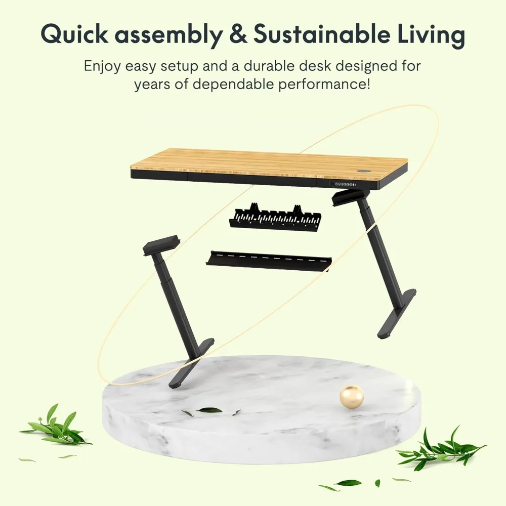 55" Bamboo Standing Desk, Dual Motor 3 Stages Adjustable Height Electric Computer Workstation w/Wireless Charging, Drawer