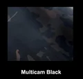 Multicam Black