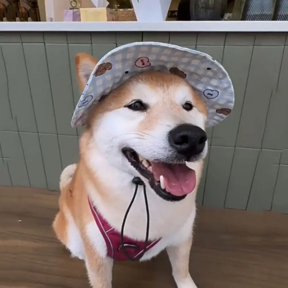 

Cute Adjustable Dog Sun Hat Plaid Print Ear Holes Dog Denim Hat UV Protection Baseball Cap Outdoor