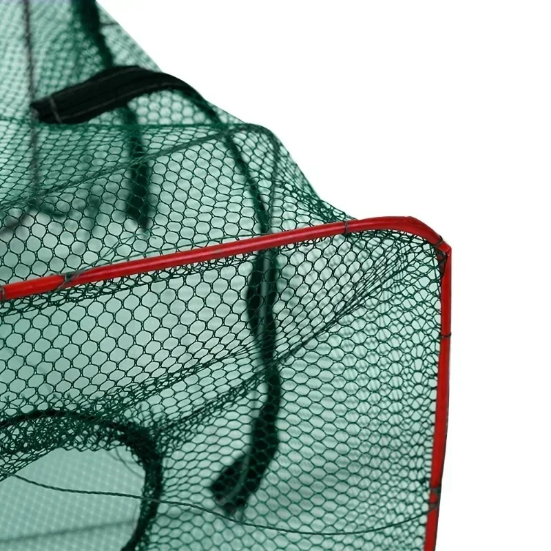 Premium Collapsible Fish & Crustacean Trap 5