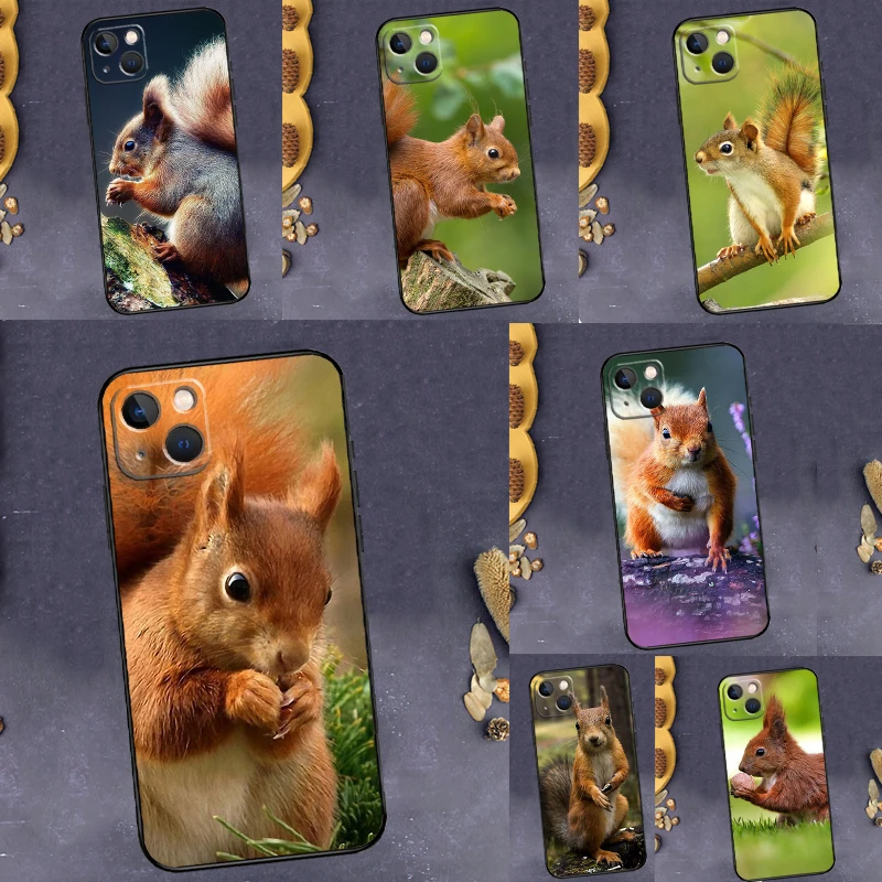 Squirrel Case For O…