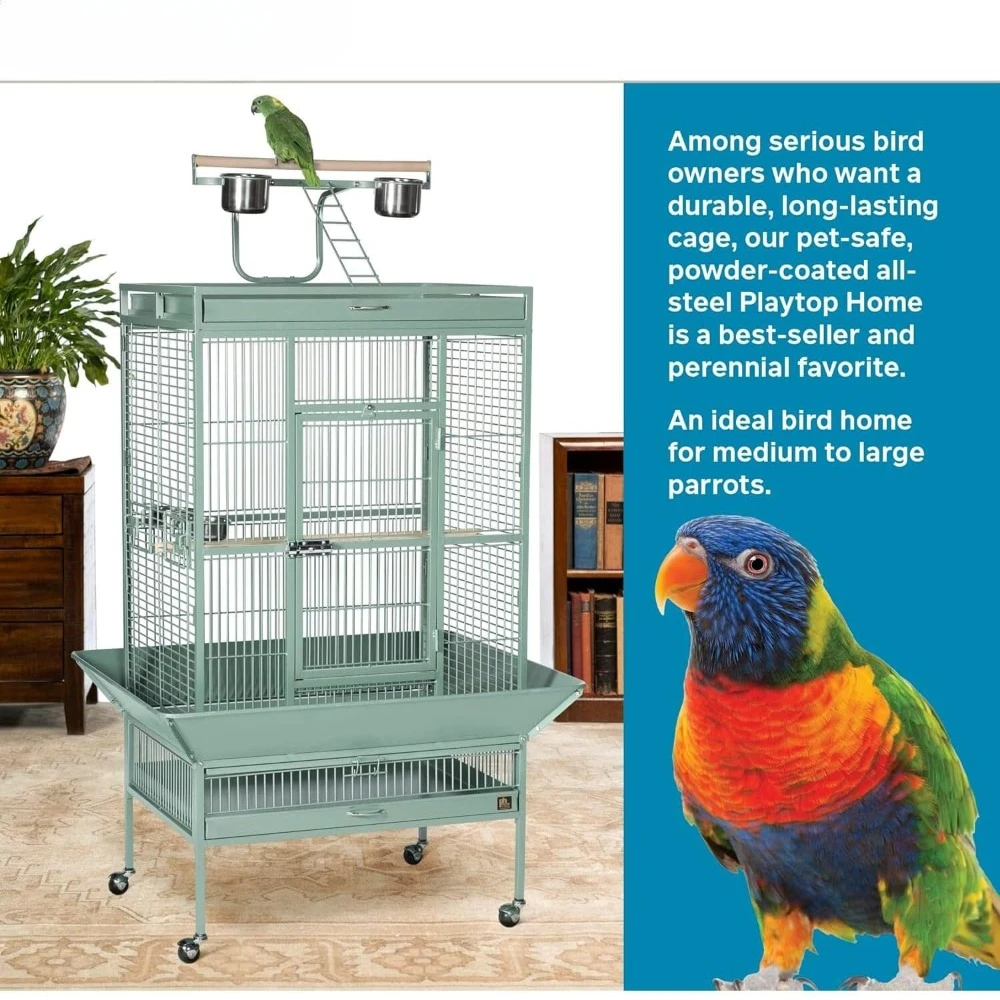 Pet Products Wrought Iron Select Bird Cage 3153SAGE, Sage Green, 30-Inch by 22-Inch by 63-Inch