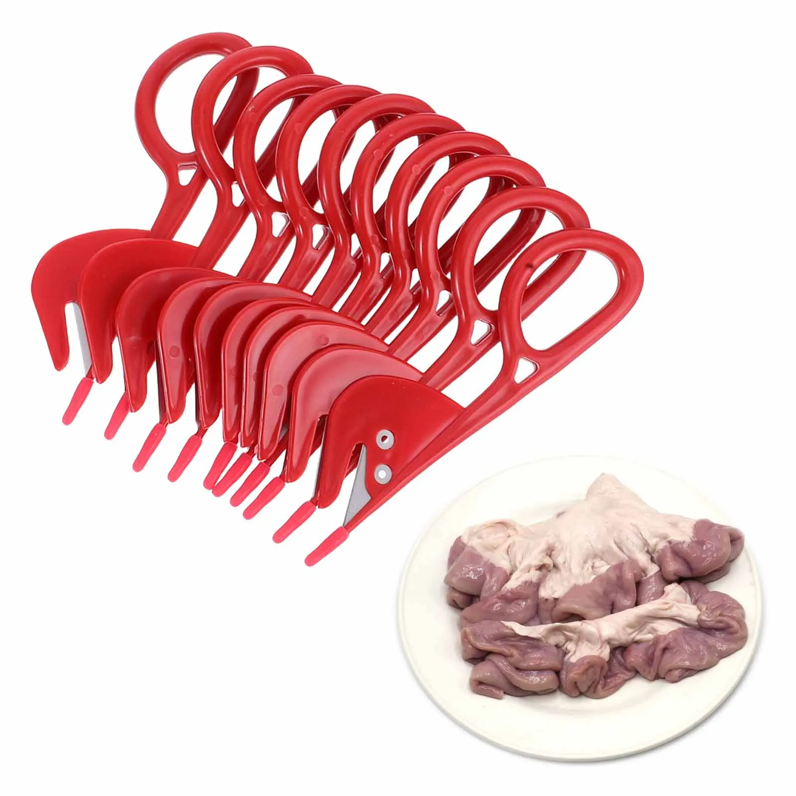 

Poultry Intestine Knife 20pcs Assorted Colors Intestine Opening Tool for Fish Maw Tendon Removal