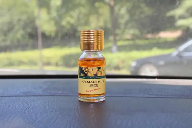 10ml Essential Oils Fefill for Car Aromatherapy Diffusers Home Air Humidifier Oil Perfume Natural Air Freshener Scents Parfum