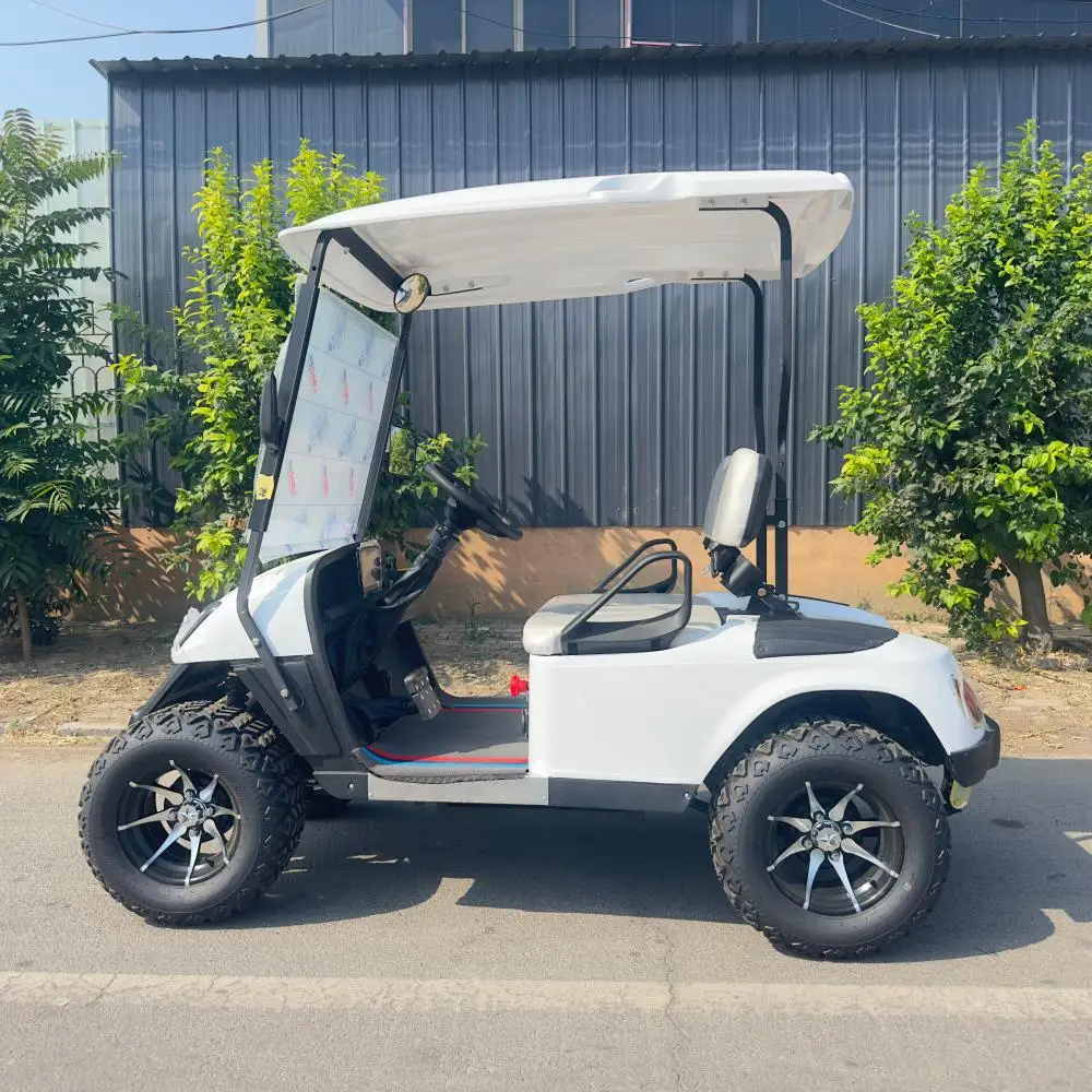 MMC مخصص الصانع بالجملة 2 4 6 مقاعد مقعد الصيد الليثيوم الكهربائية على الطرق الوعرة عربة جولف مرفوعة #4