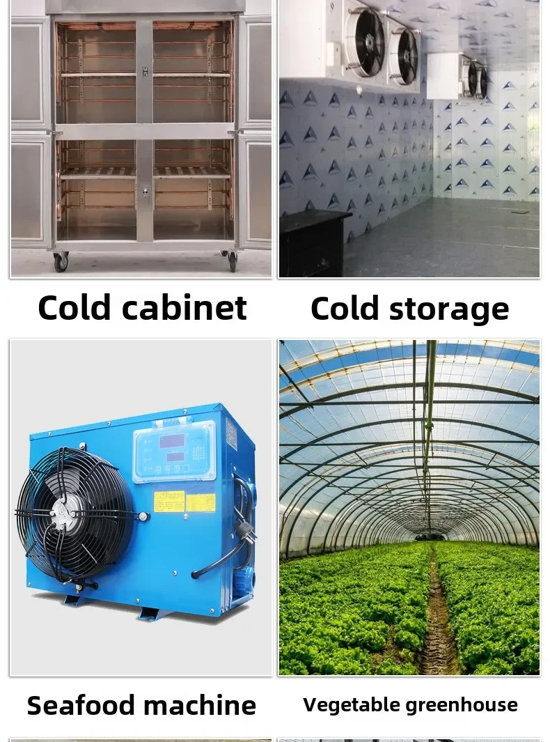 Termoregolatore di controllo del riscaldamento per scongelamento del frigorifero con regolatore di temperatura ETC-974 con doppio sensore NTC 220V