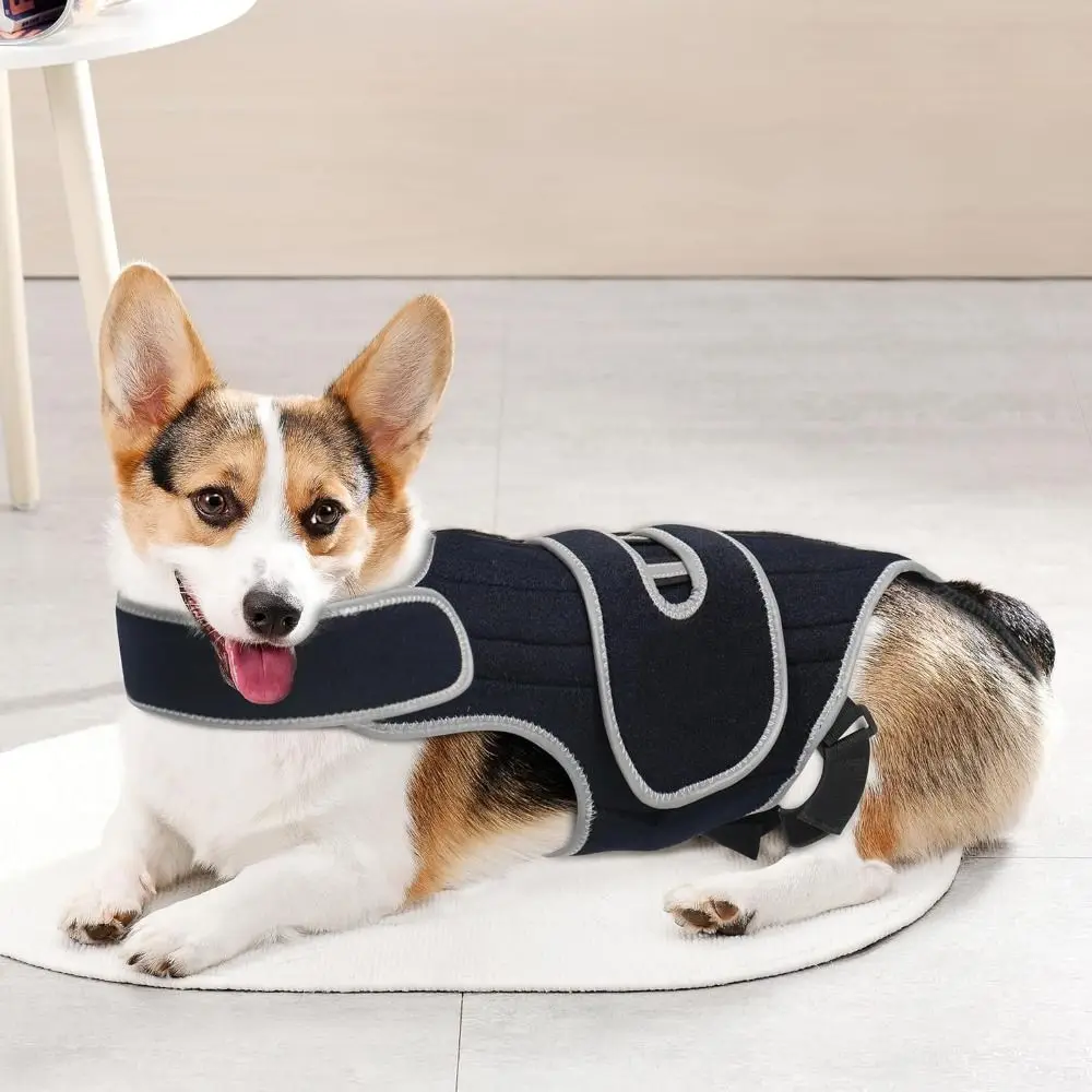 Adjustable Dog Back Brace Breathable Reflective Straps Pet Spinal Brace Vest Spinal Stability Metal Fishbone Support