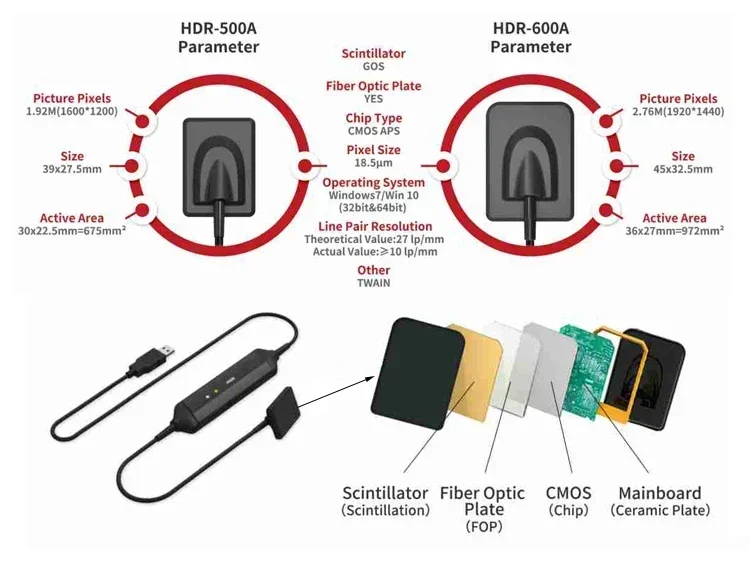 2026 Premium Medical Supplies Dentist Equipment High Quality Teeth X Ray Sensor Rvg Digital Intraoral X-ray Sensor Price view 4