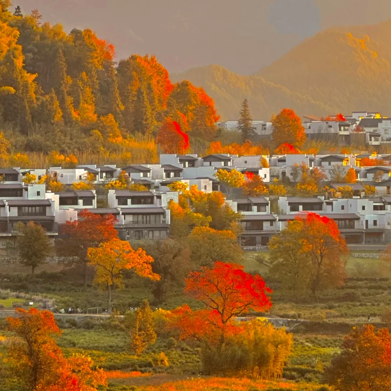 

JX Servo WP5326HV-300 Цифровой сервопривод - крутящий момент 26 кг, водонепроницаемость IP68, металлическая шестерня, для радиоуправляемых автомобилей, лодок, гусеничных машин и робототехники