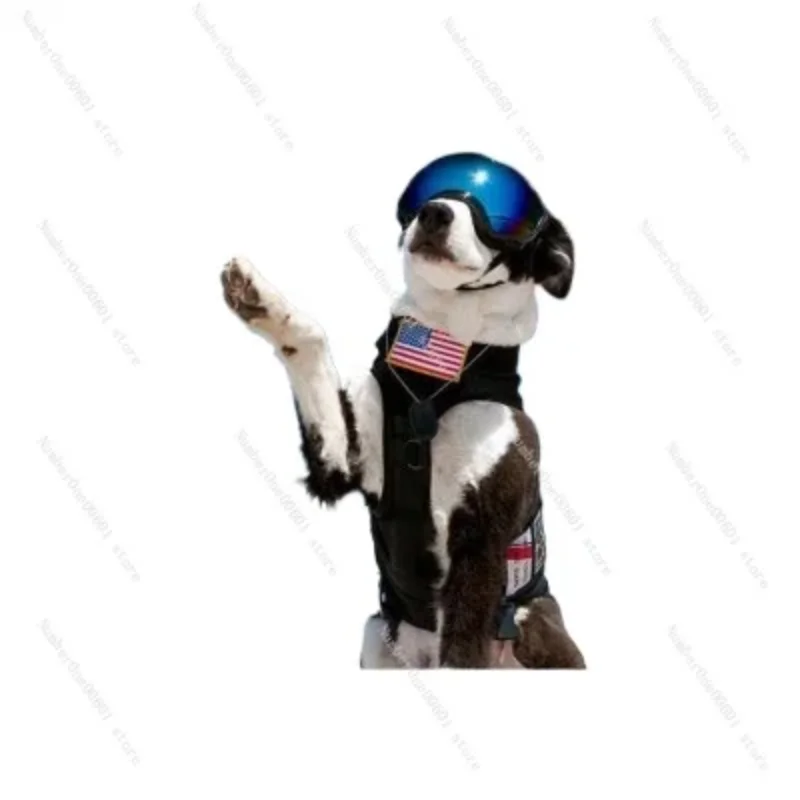 

Очки для собак, Ветрозащитные очки, Снежные очки, Солнцезащитные очки, Защита глаз, Военные собаки